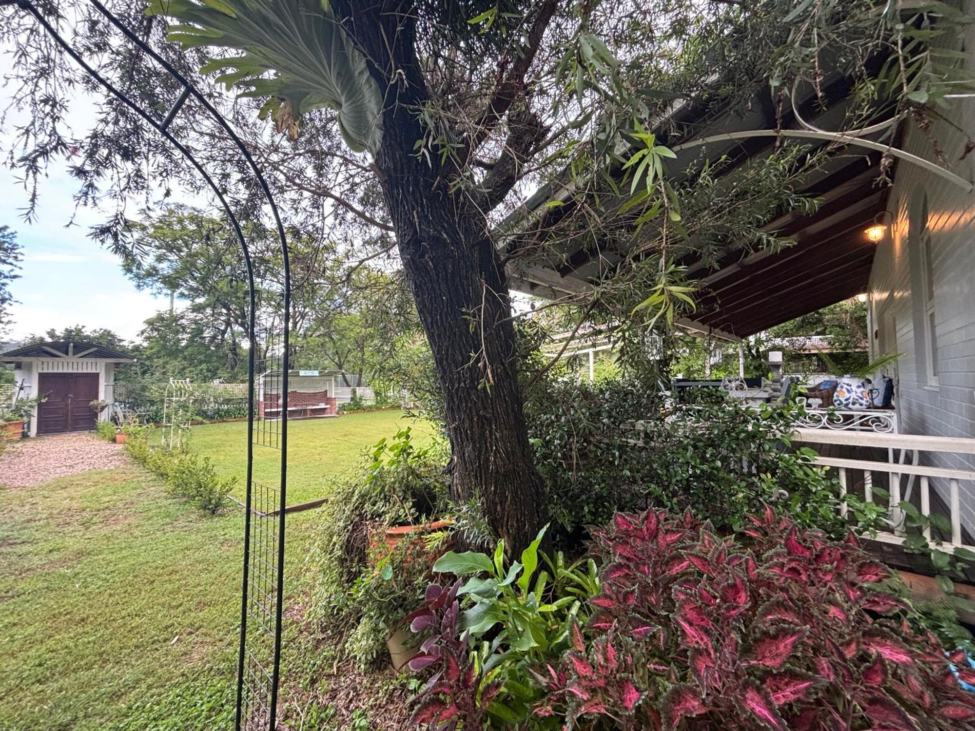 Celestial Dew Guesthouse In Tyalgum Buitenkant foto