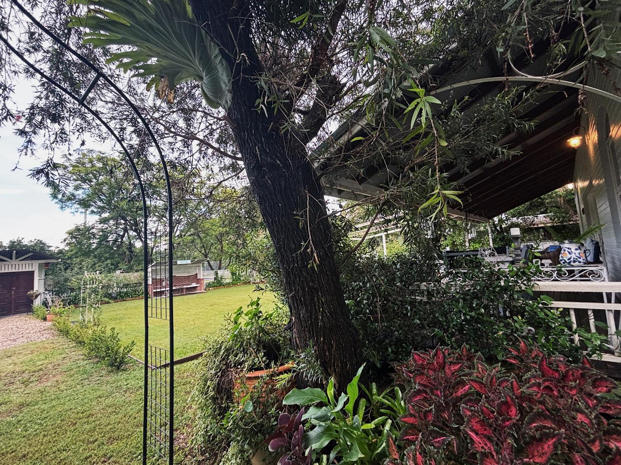 Celestial Dew Guesthouse In Tyalgum Buitenkant foto