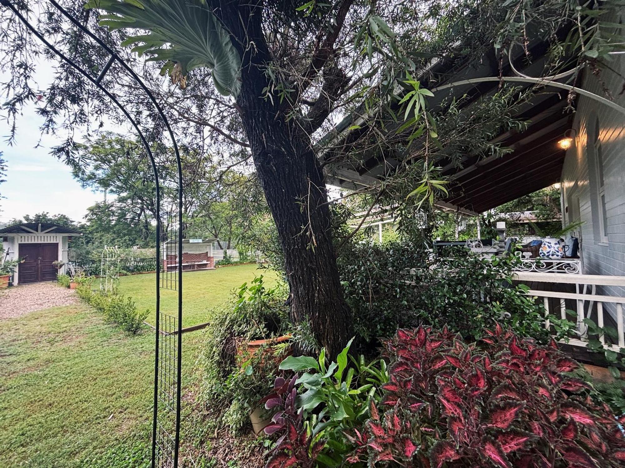 Celestial Dew Guesthouse In Tyalgum Buitenkant foto